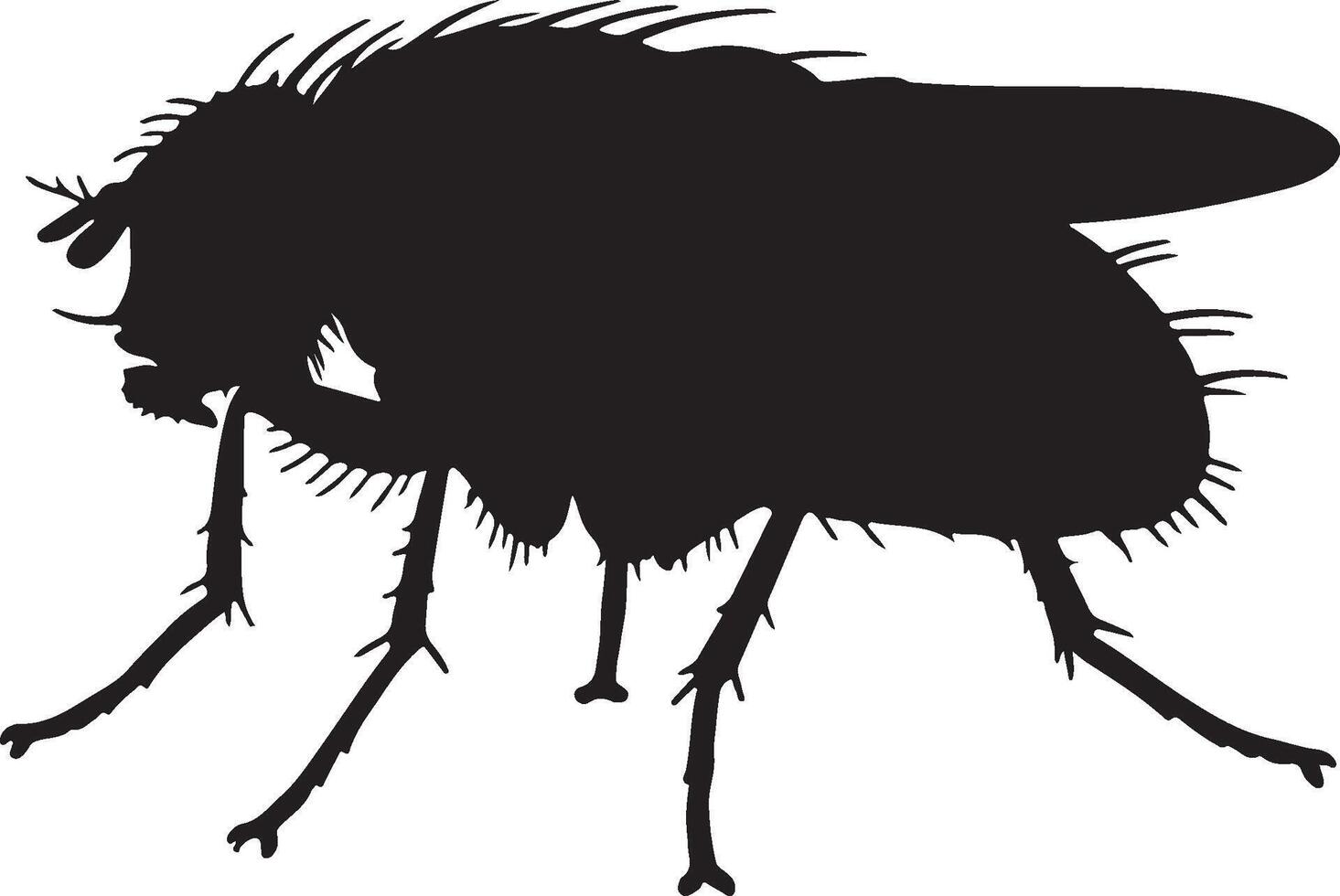 A black fly silhouette on a white background vector