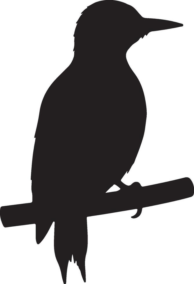 A silhouette of a bird sitting on a branch vector