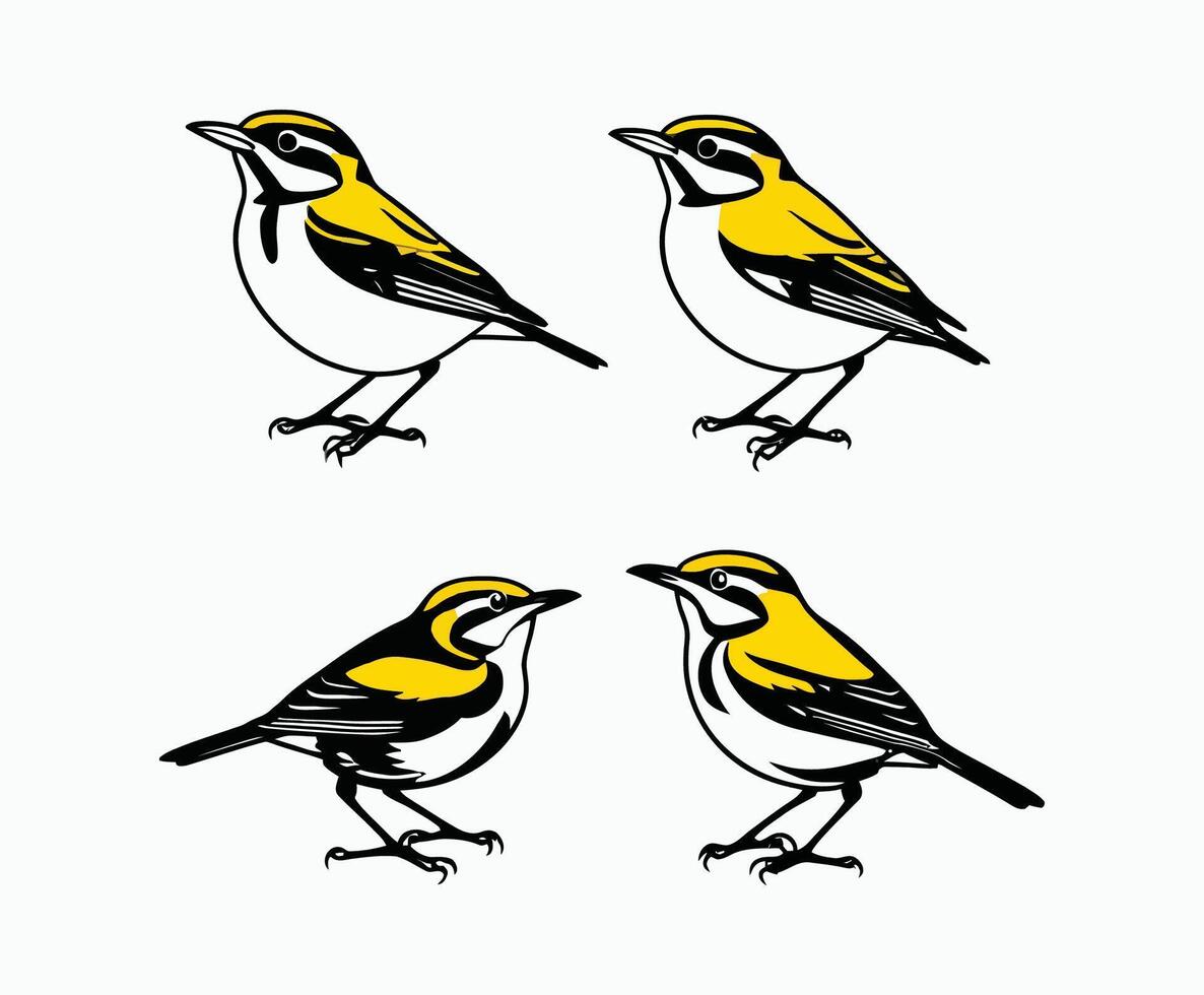 Yellow Rumped Warbler Silhouette Collection EPS Template vector