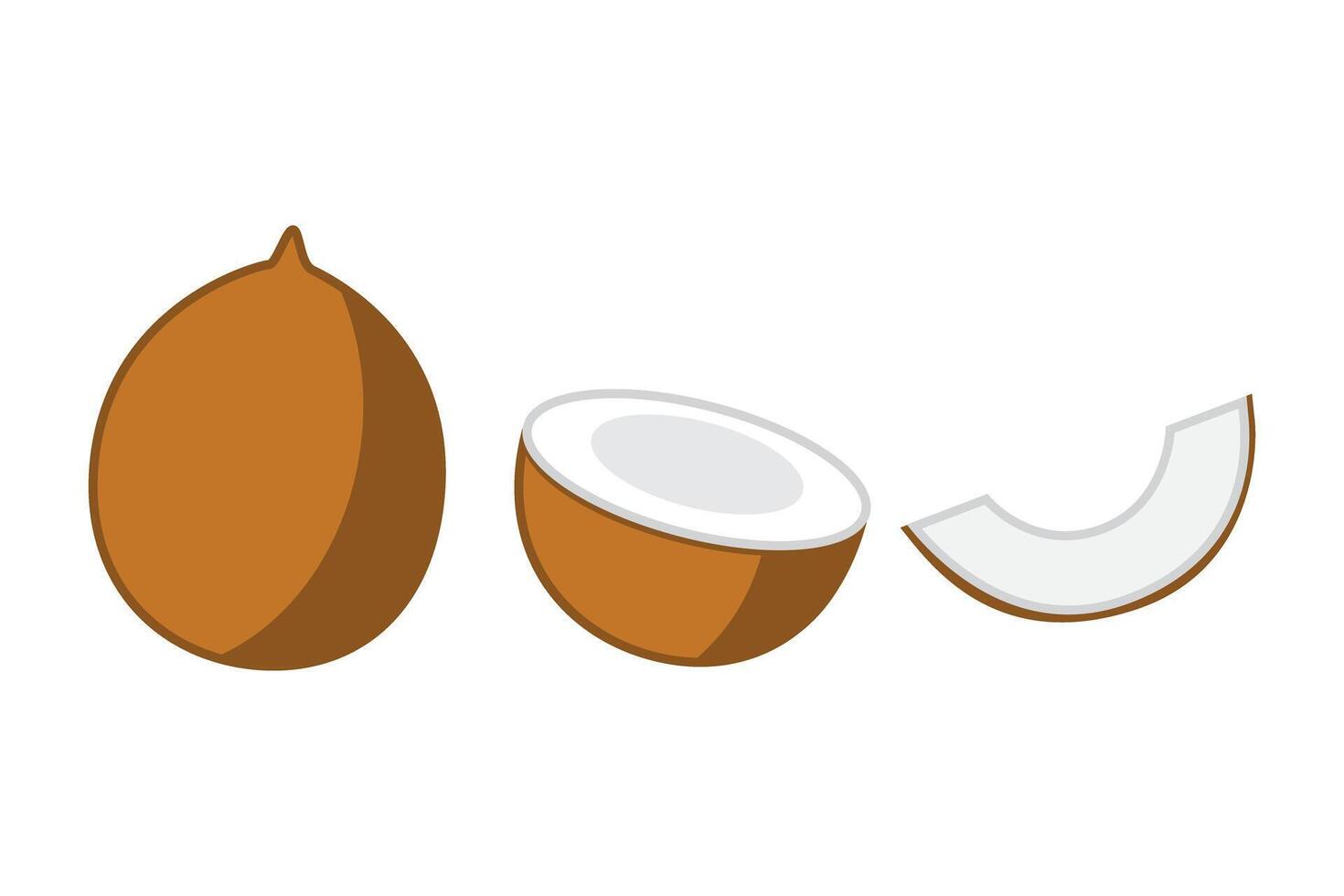 Illustration of a Coconut and Slices vector