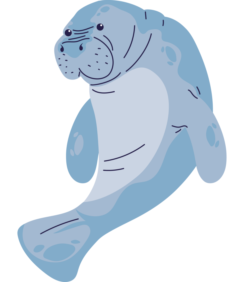manatee sea animal cartoon isolated png