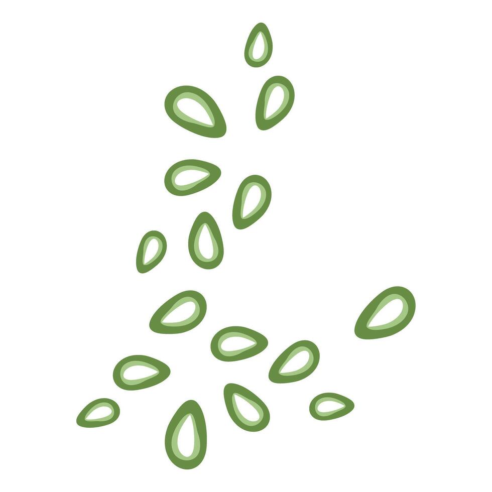 sliced of fresh spring onion vector