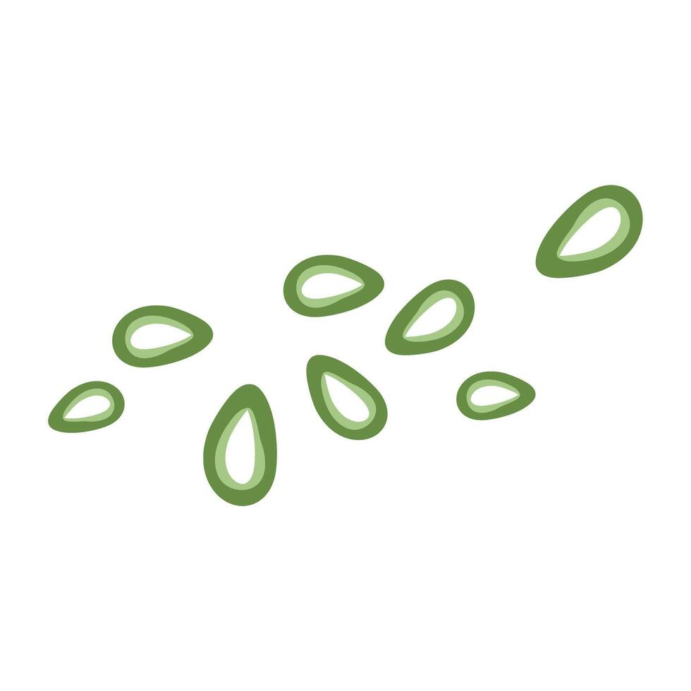 Green onion, chopped chives illustration vector