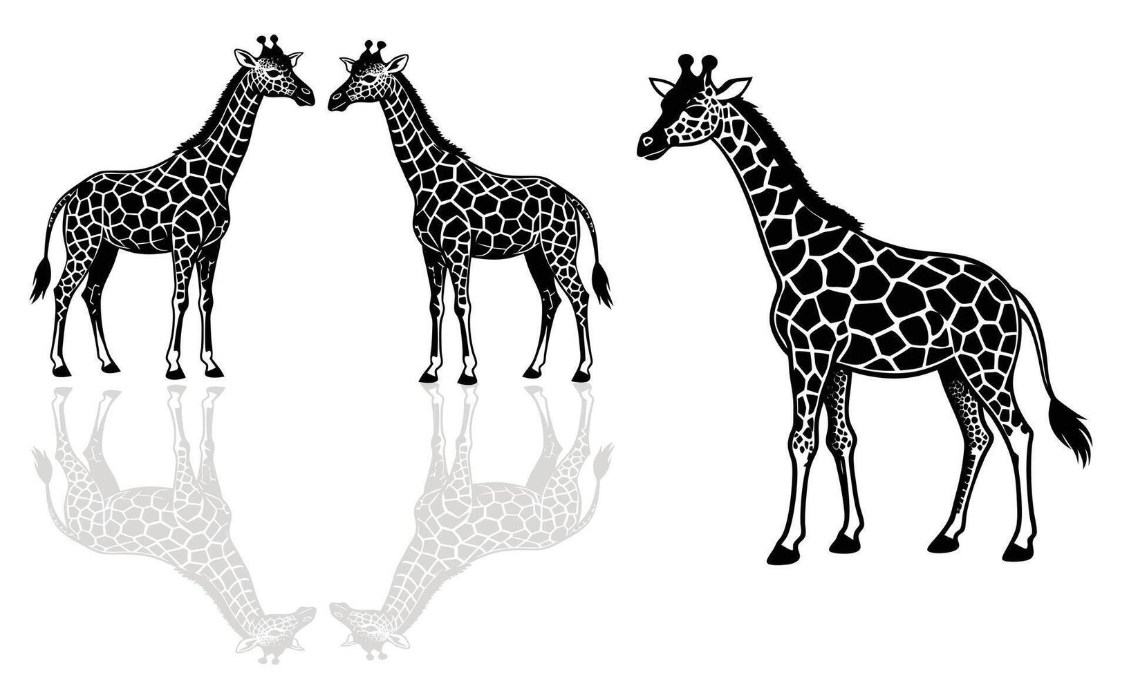 Kenya, reticulated giraffes in Buffalo Springs National Reserve and Art vector