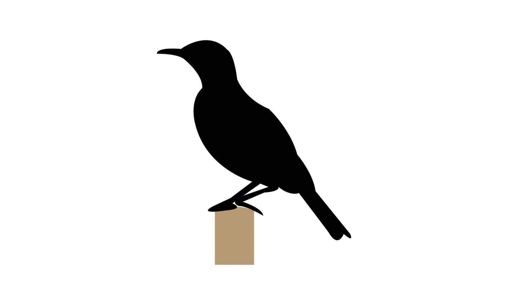 Agulhas long billed lark bird Silhouette vector