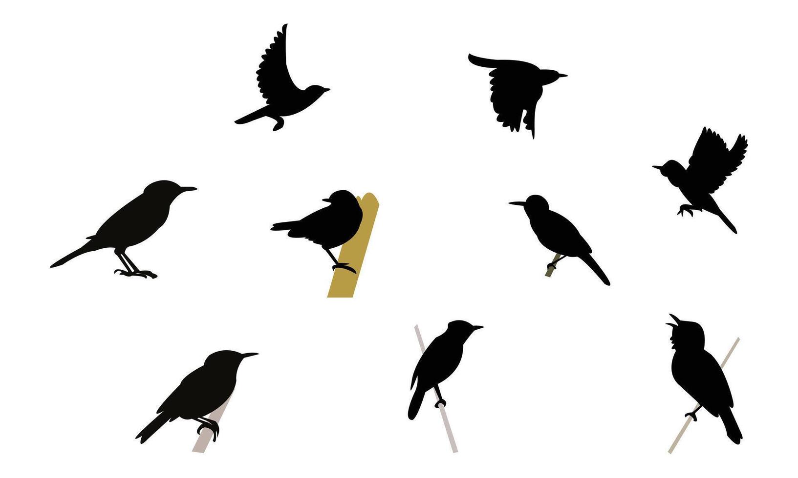 Aguiguan reed warbler bird Silhouette Collection vector