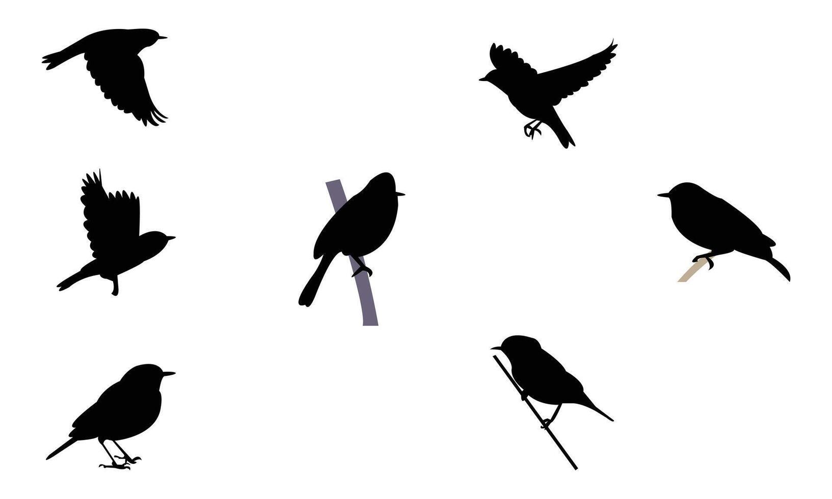 African yellow warbler bird Silhouette Collection vector