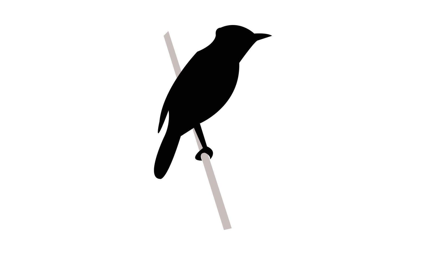 Aguiguan reed warbler bird black Silhouette Design vector