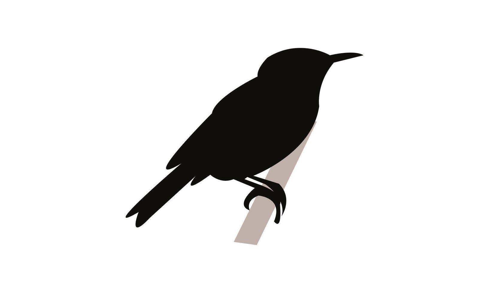 Aguiguan reed warbler bird Silhouette vector