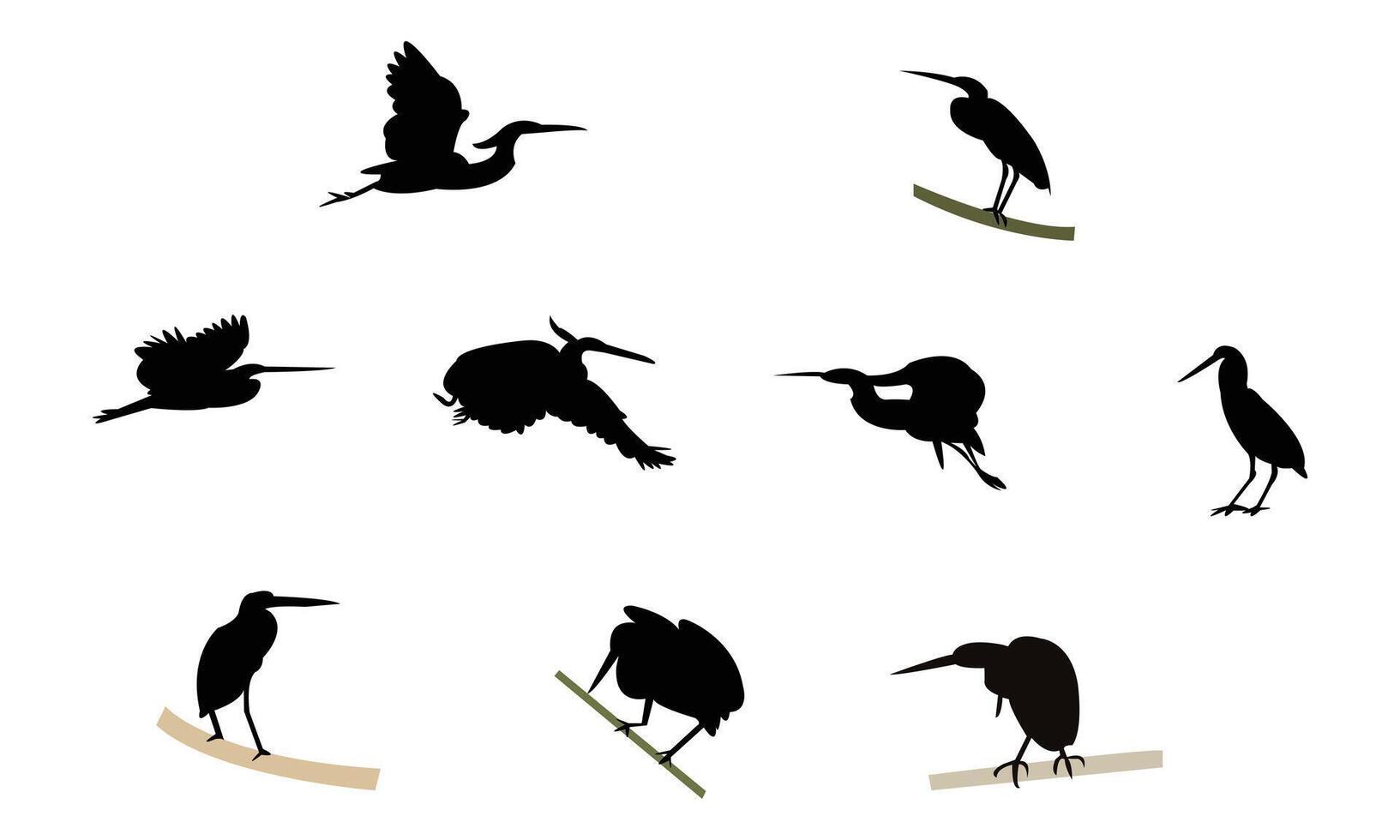 Agami heron bird Silhouette Collection vector