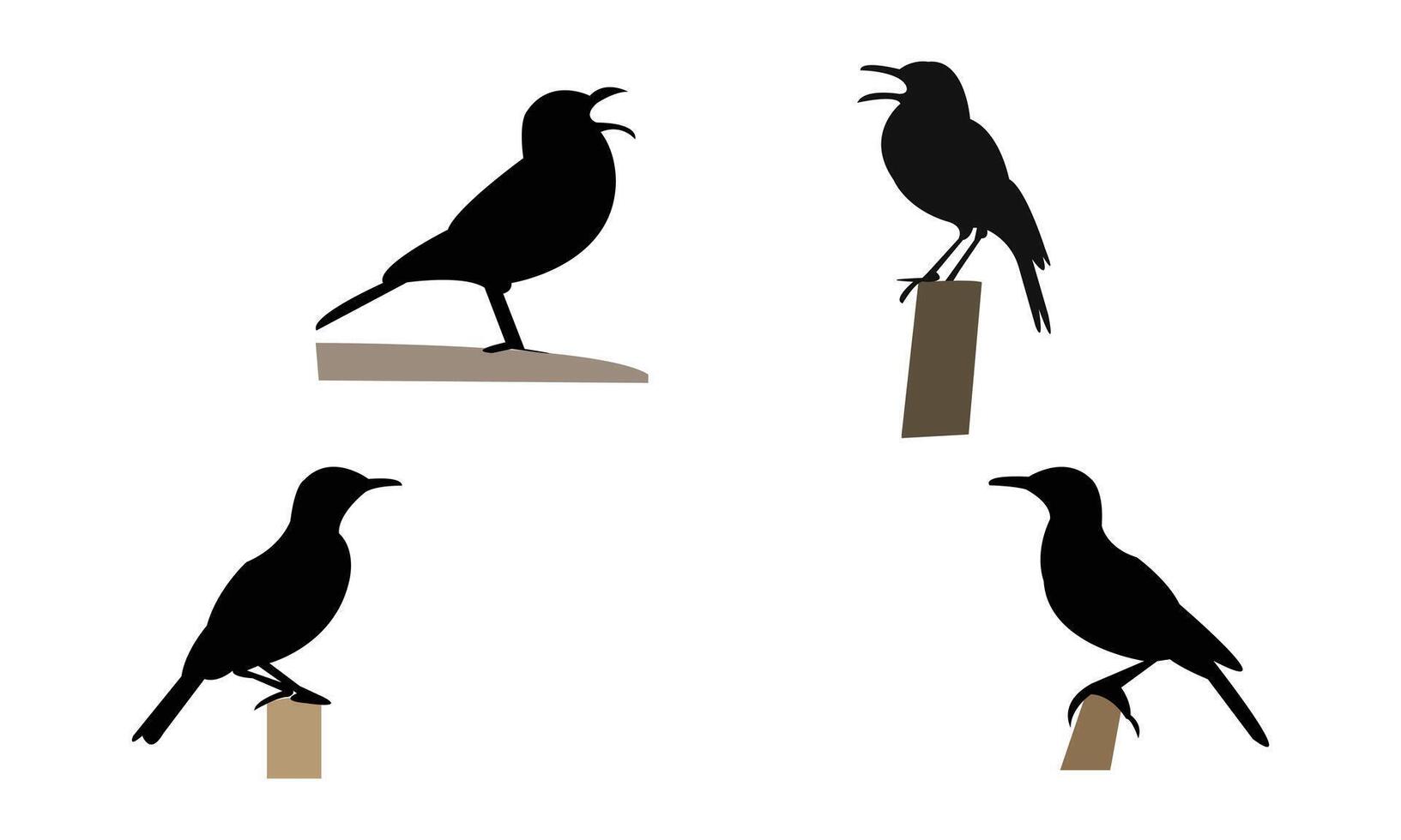 Agulhas long billed lark bird Silhouette Collection vector