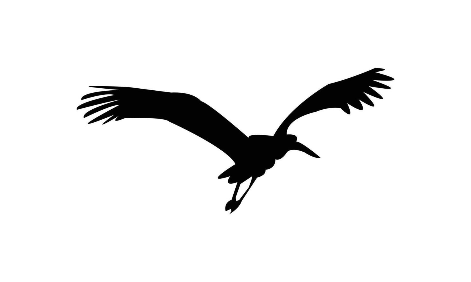 Flying African woolly necked stork bird Silhouette vector