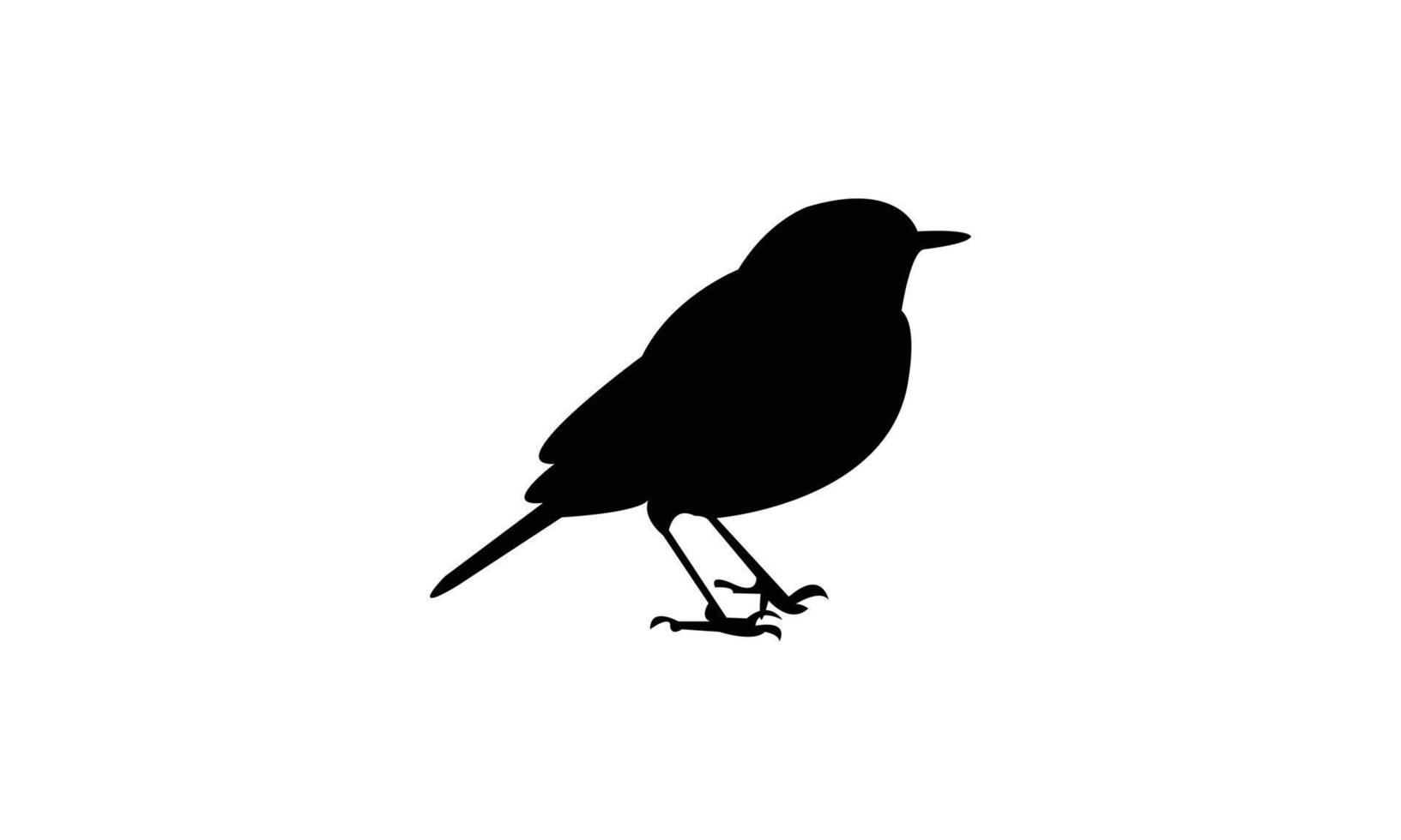 African yellow warbler bird black Silhouette vector
