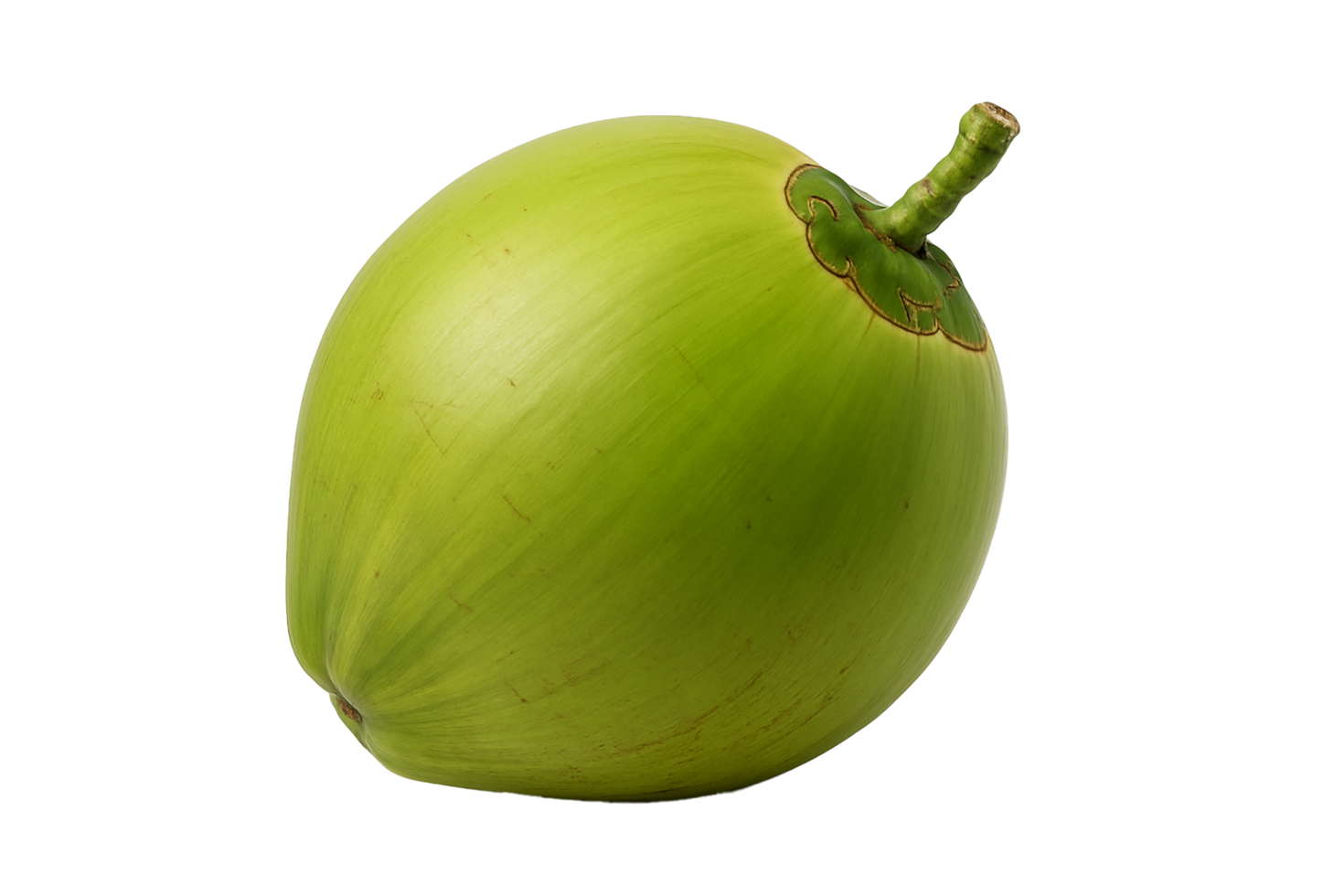 Green Young Coconut Isolated on Transparent Background png