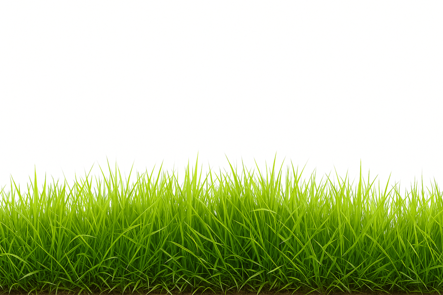 Lush Green Grass Border, Realistic Transparent Cutout png