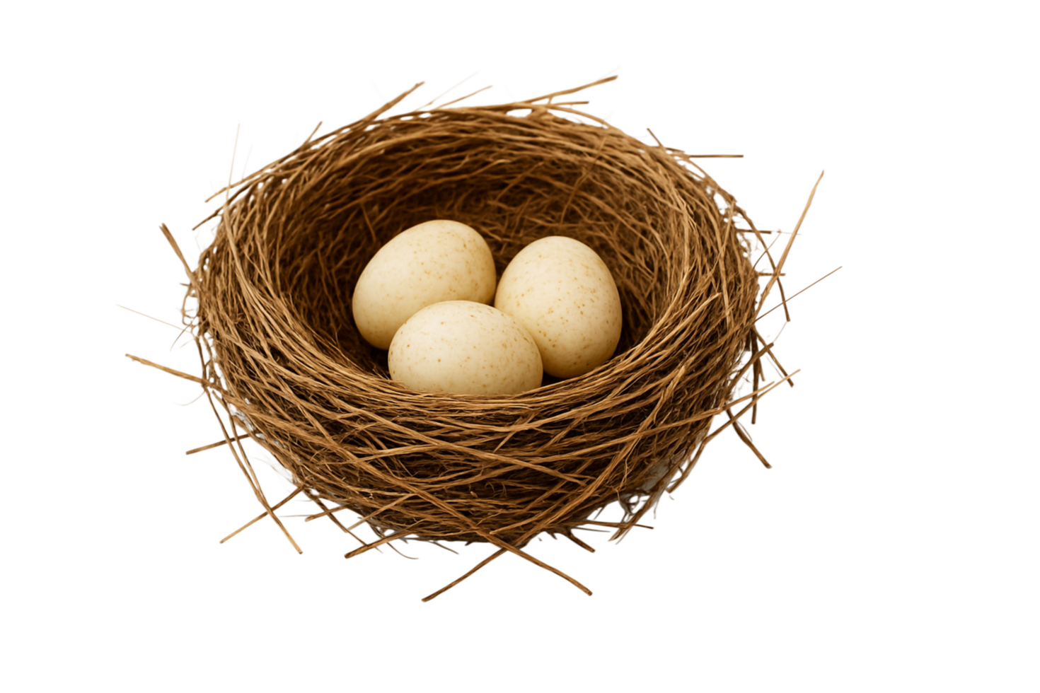 Nest with Three Eggs Isolated on Transparent Background png