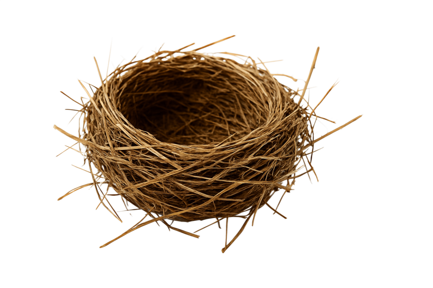 Empty Bird Nest Isolated on Transparent Background png