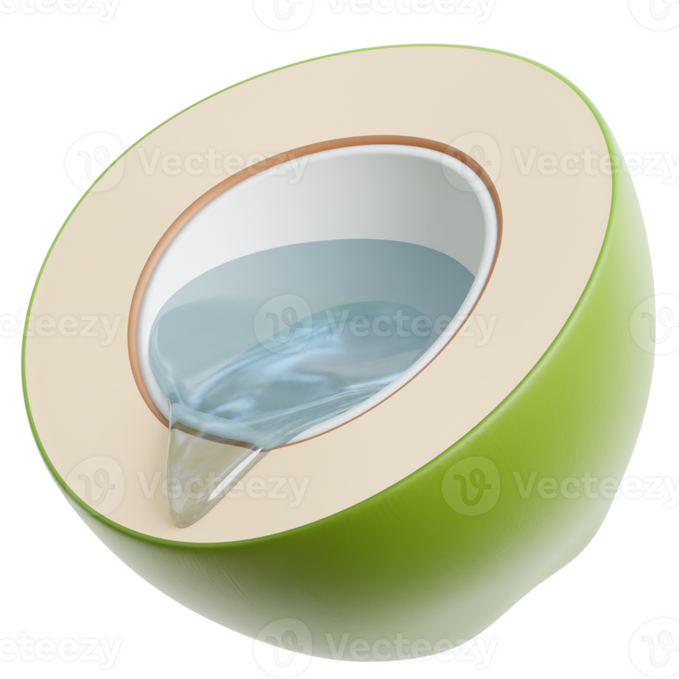 Coconut Fruit 3d Illustration png