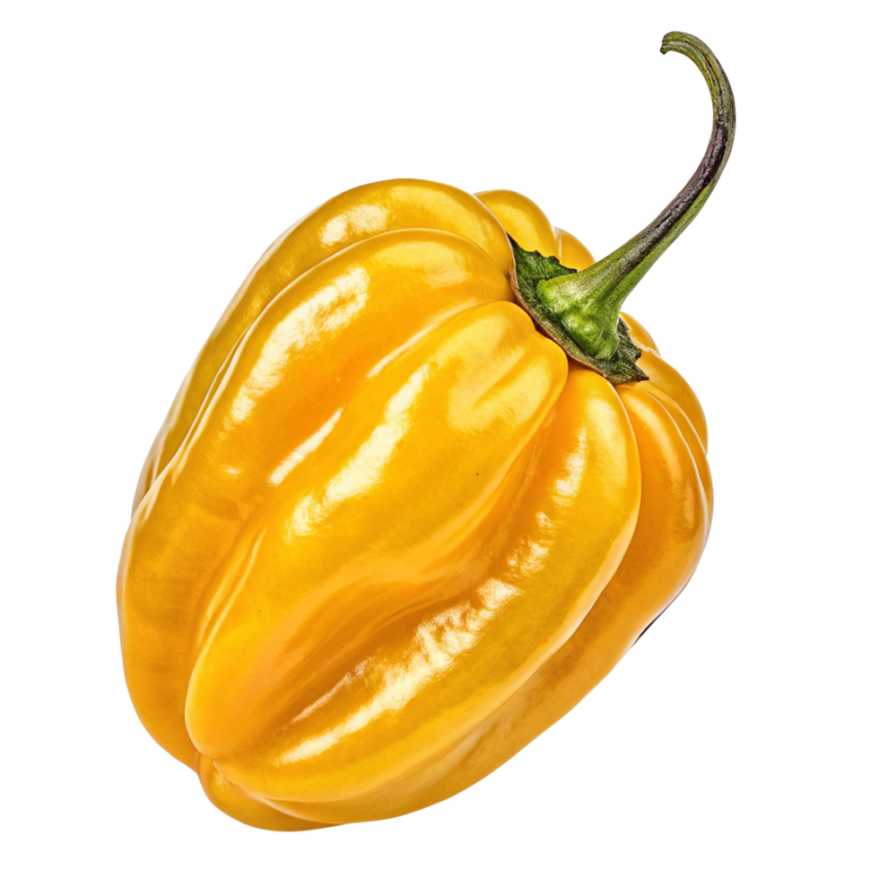 a yellow pepper on a transparent background png