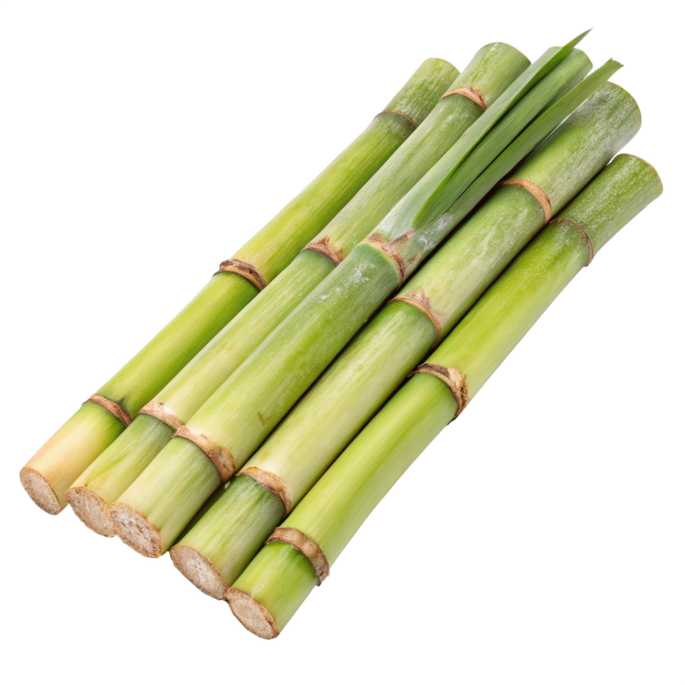 green bamboo sticks on a transparent background png