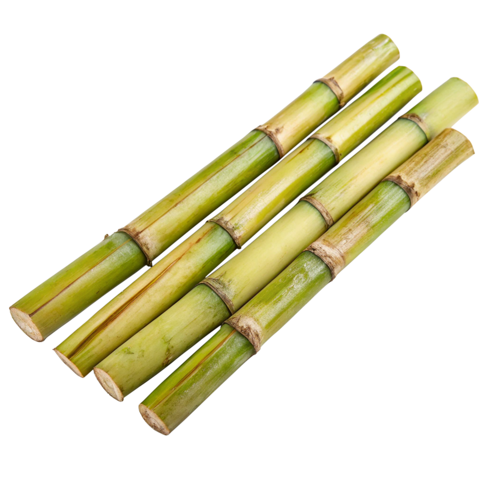 a group of bamboo sticks on a transparent background png