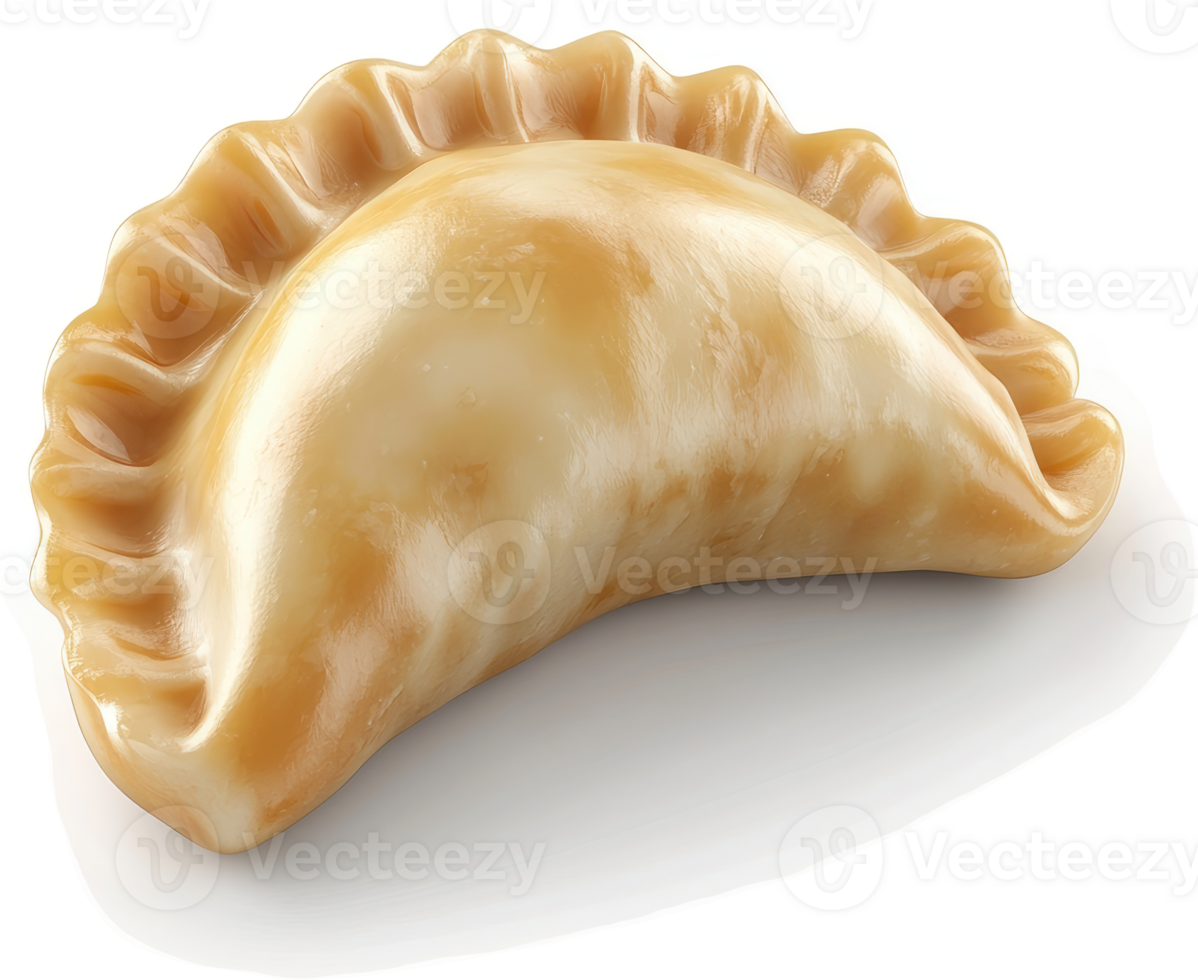Close-up view of a golden, half-moon shaped empanada. png
