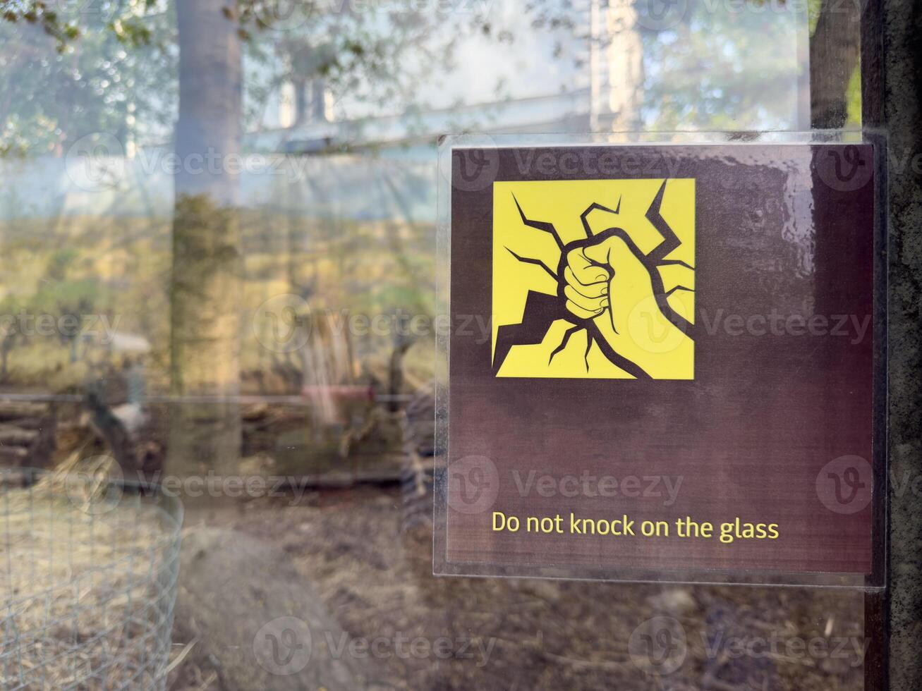 Warning sign displayed on a zoo enclosure window asks visitors not to knock on the glass, featuring a cracked surface and a clenched fist icon in bold yellow and black photo