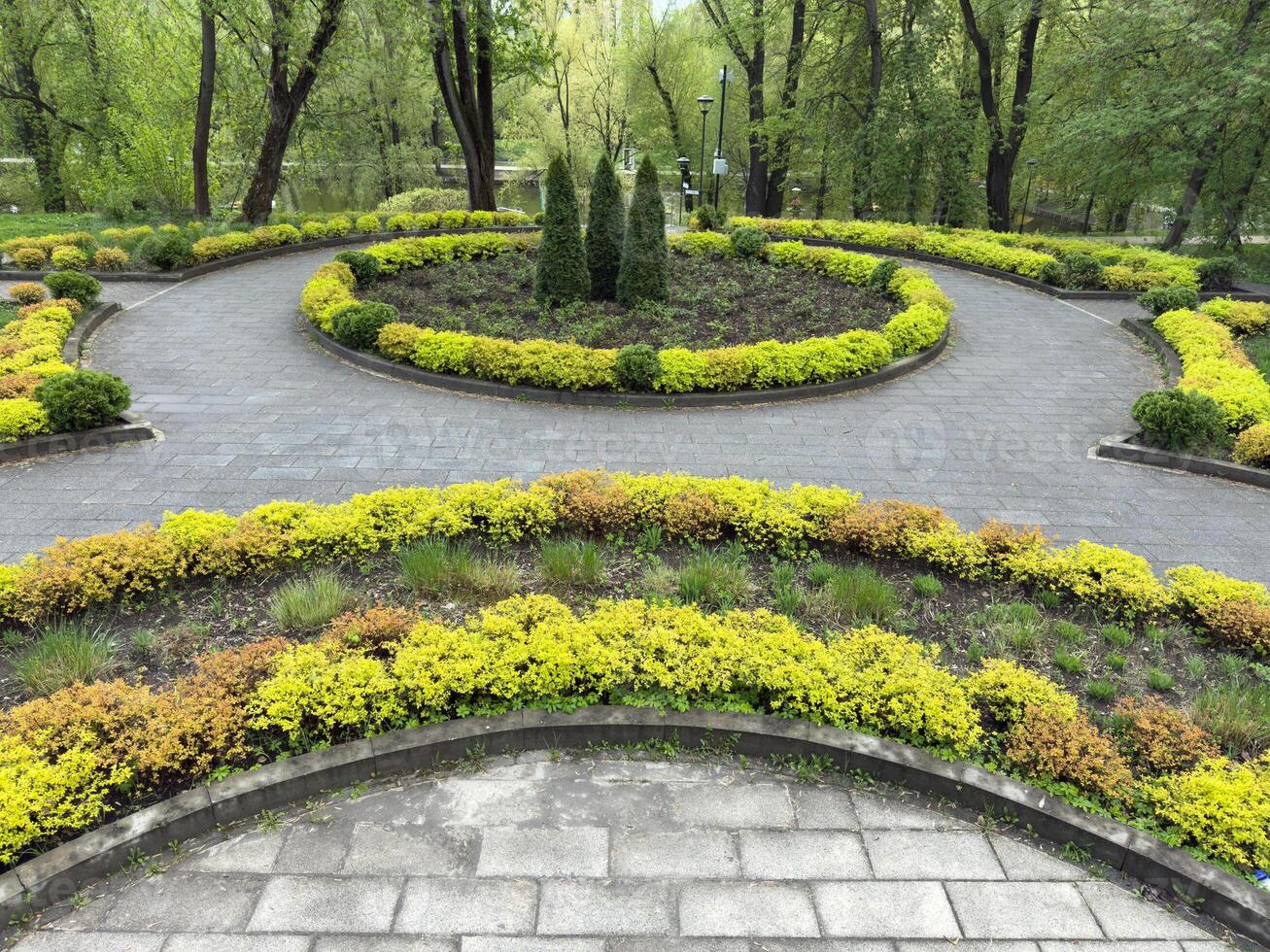 Landscaped park alley with decorative spiral paths, trimmed bushes, and vibrant greenery forming an ornamental pattern, showcasing urban beautification and organized public space design photo