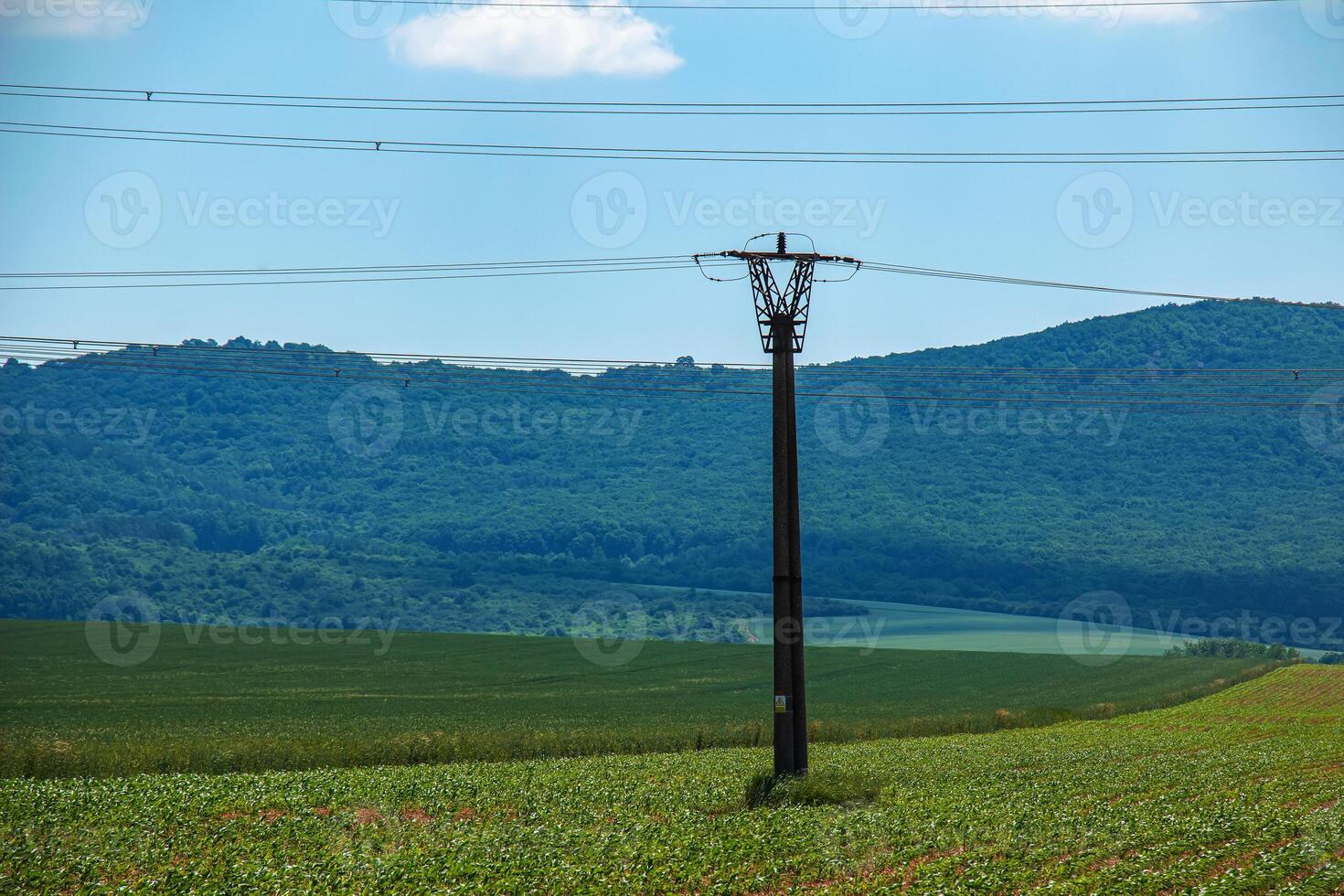 High voltage lines and power pylons in a green landscape on a sunny day with clouds in the blue sky. photo