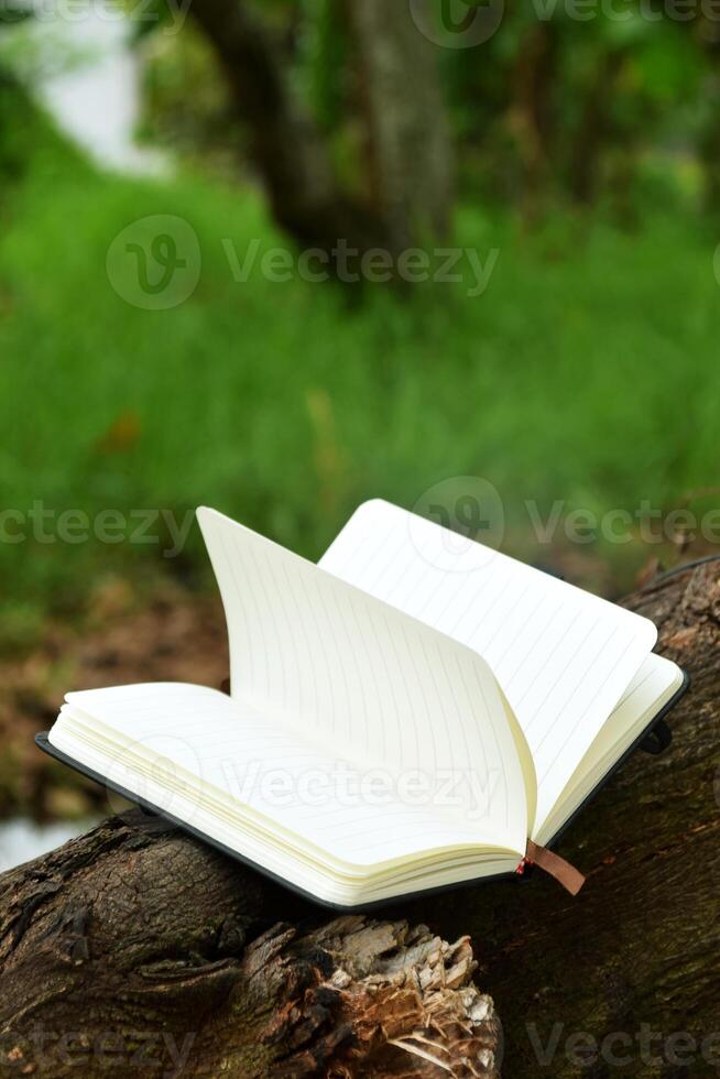 Closeup of book on tree branch in outdoor setting photo