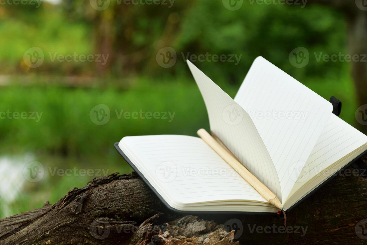Wooden pencil and brown bookmark on book with outdoor background photo