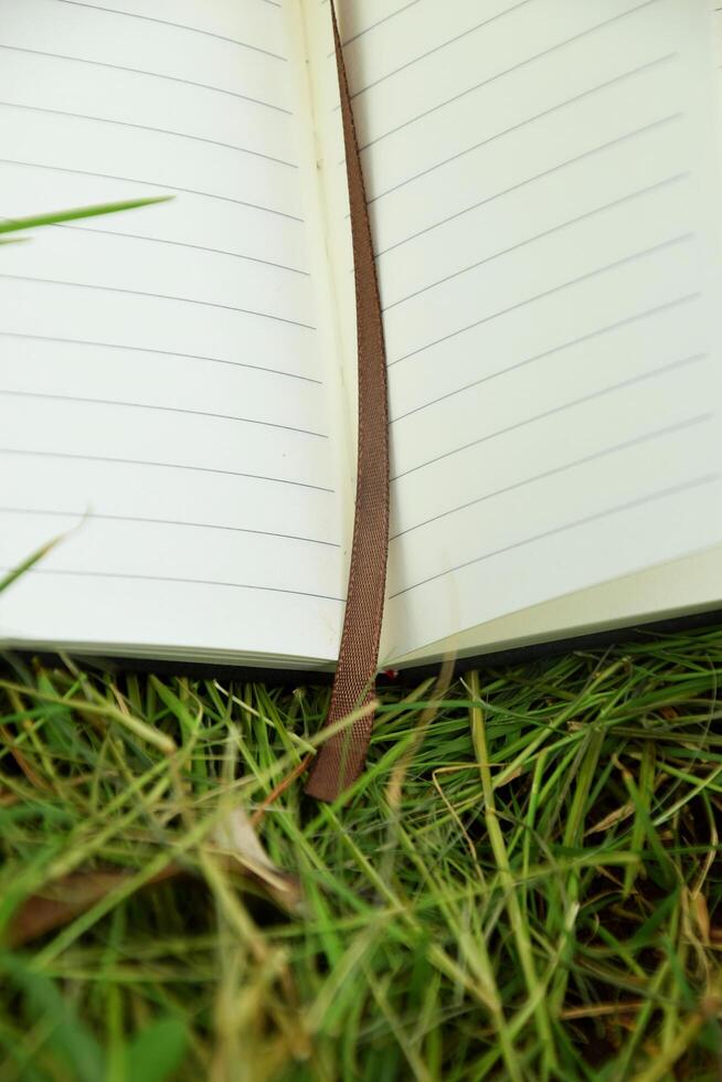 Open Pages of Book with Bookmark on Grass photo