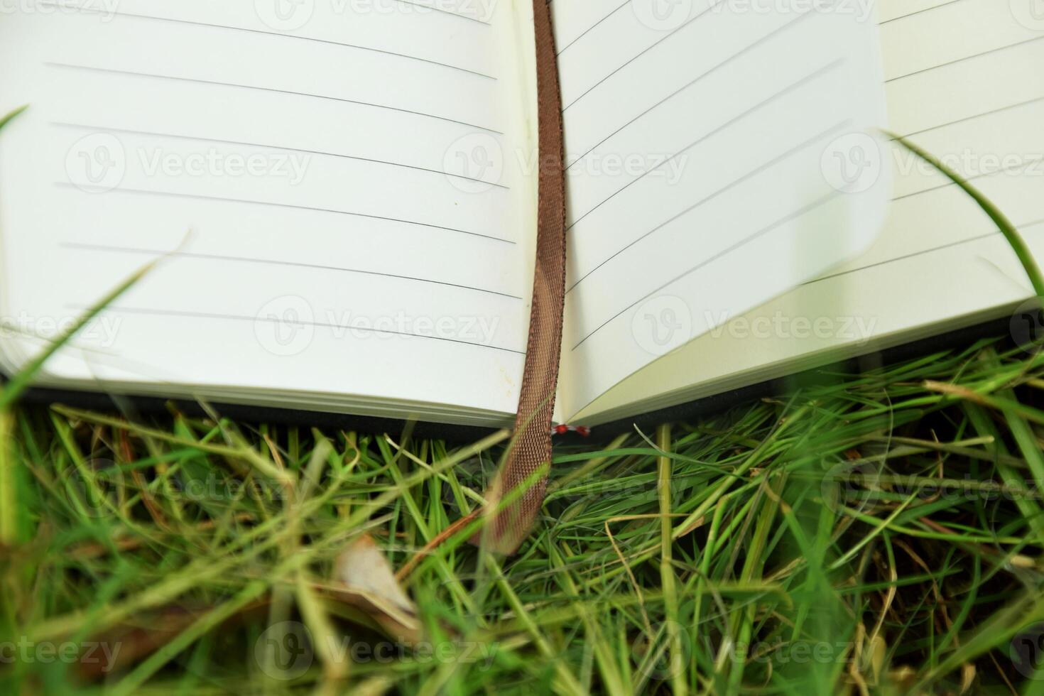 Reading in Nature Open Book with Bookmark on Grass photo