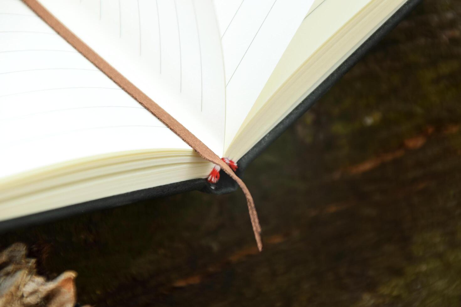 Closeup of brown bookmark on branch outdoors photo