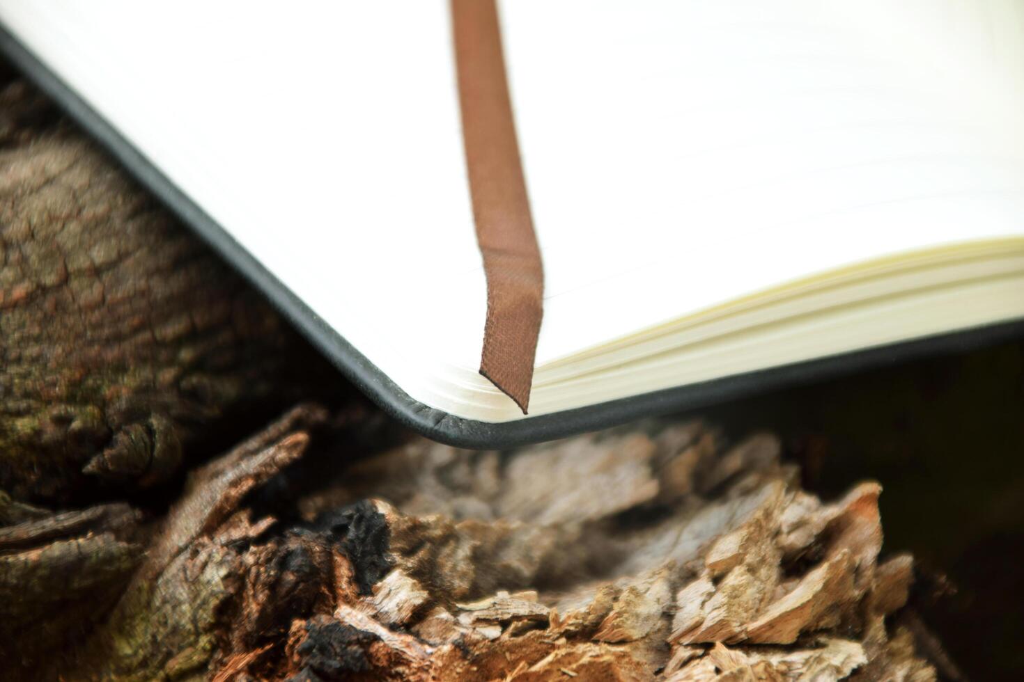 Bookmark on tree branch with soft nature background photo