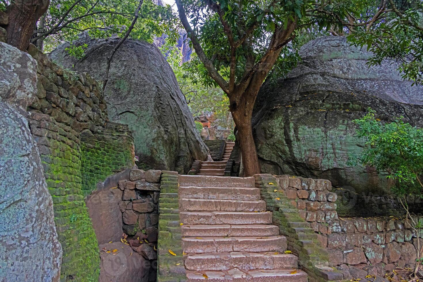Ancient stone staircase at Sigiriya Rock surrounded by massive boulders and jungle trees photo