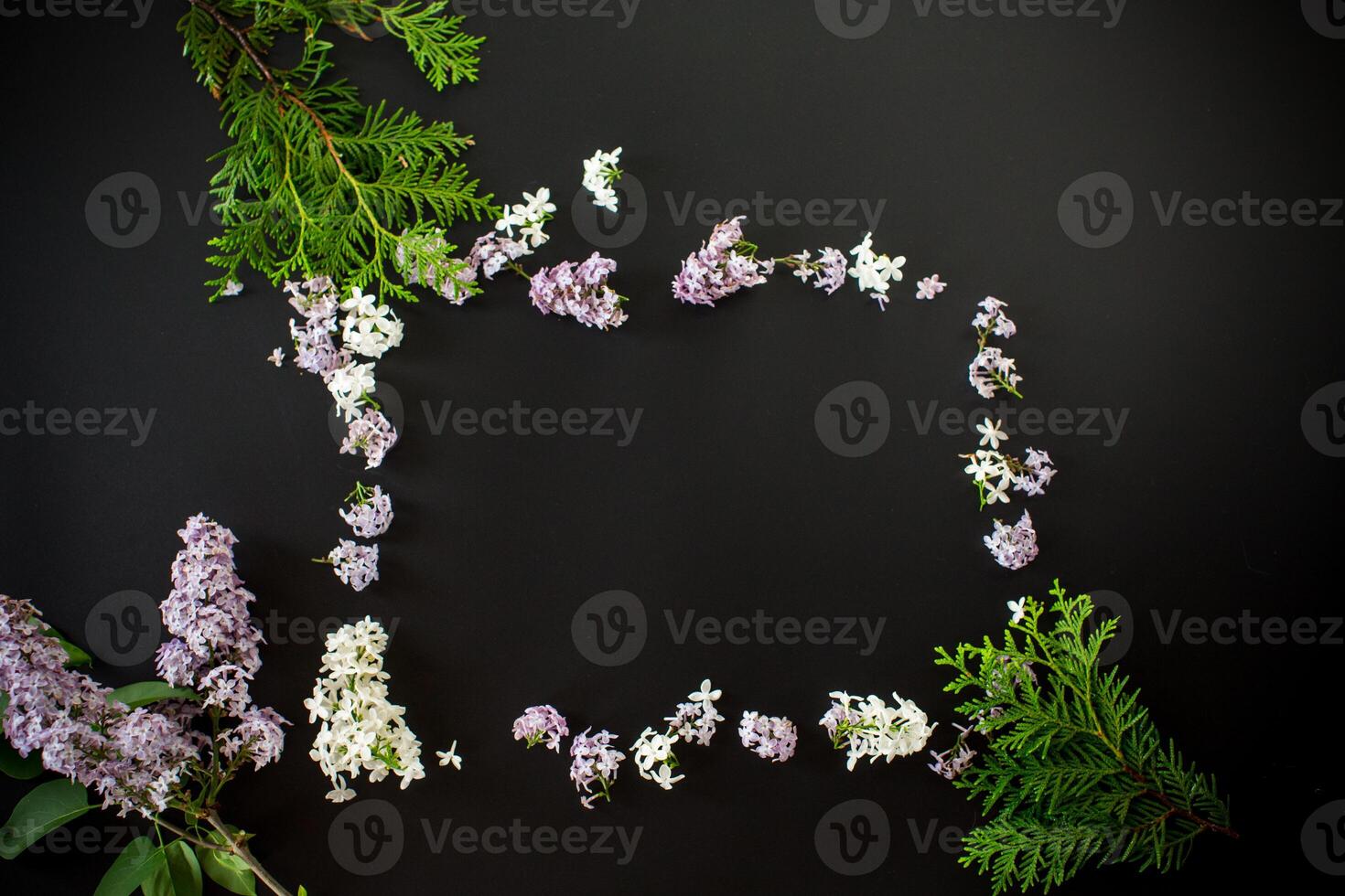 Floral background. Lilac flower frame on black background with empty space for text photo