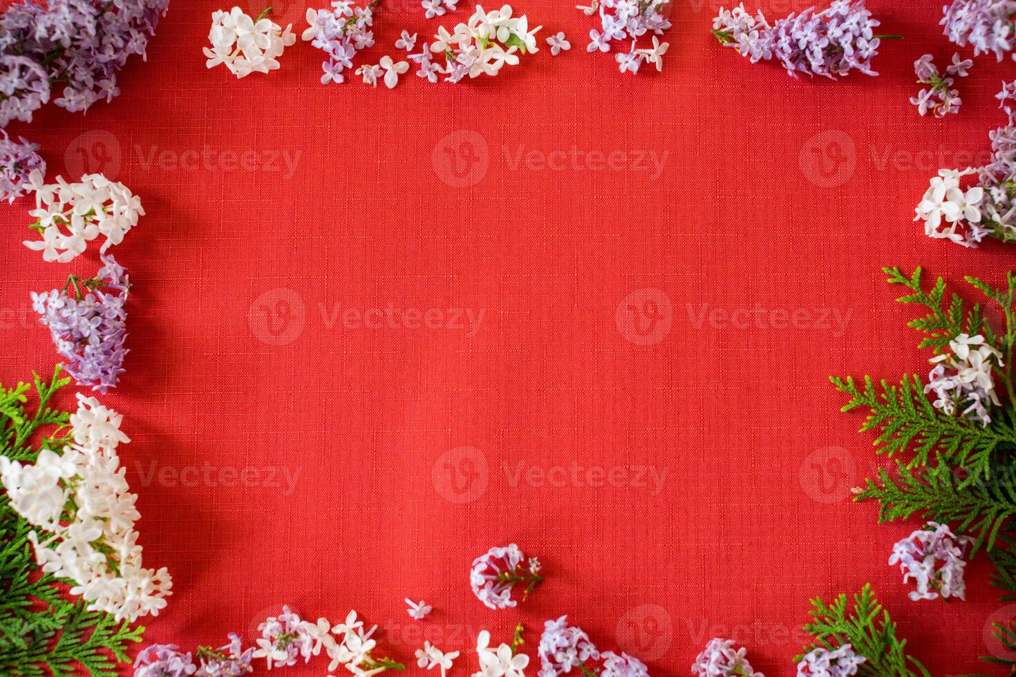 Floral frame of white and purple lilac with empty space on red background photo