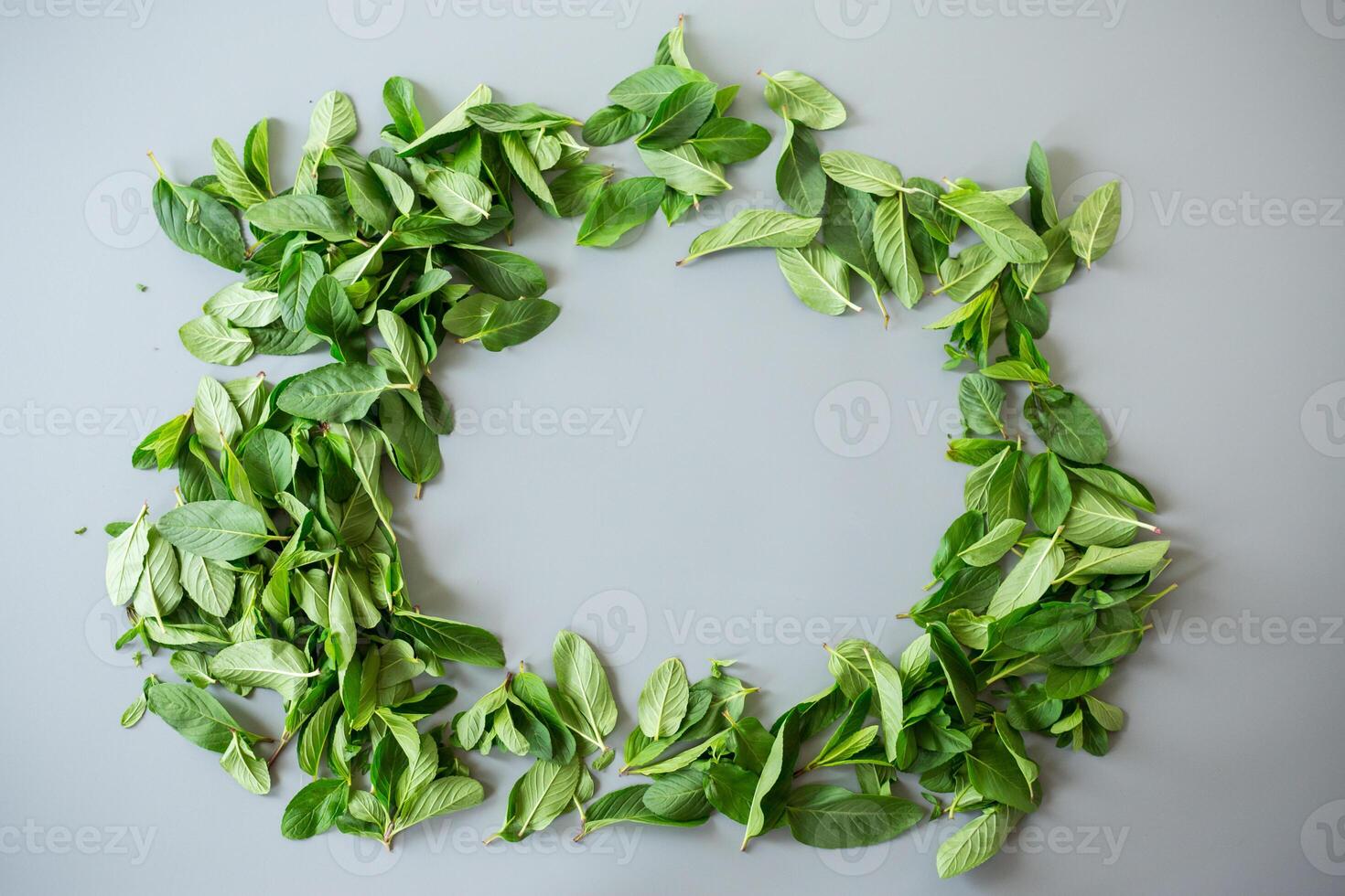 Natural fresh mint in a bunch on gray surface photo