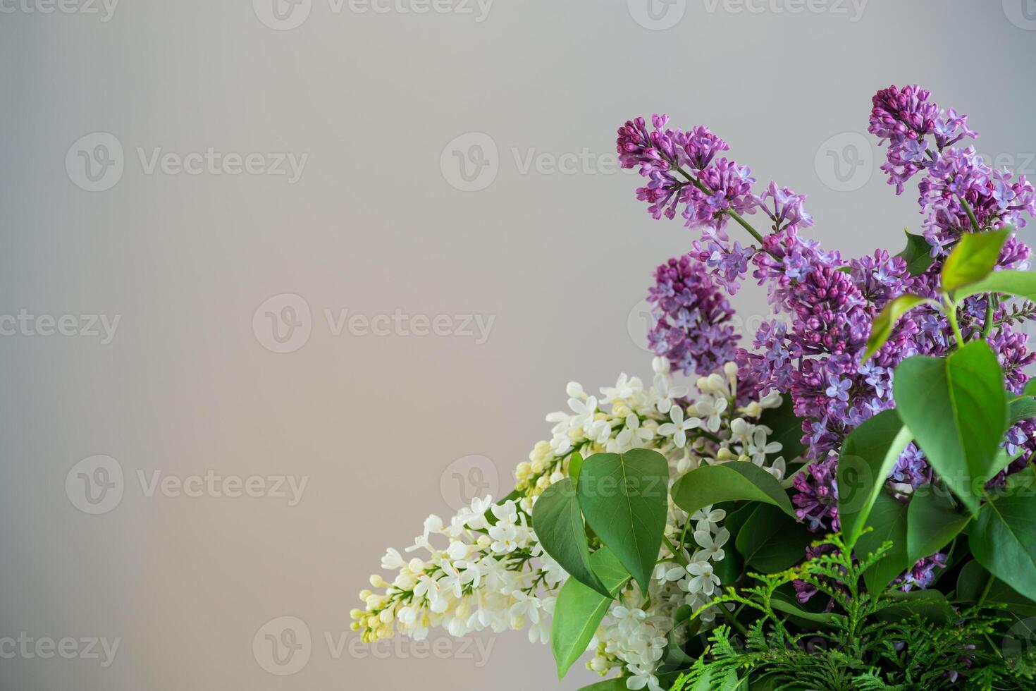 Bouquet of white and lilac lilacs on a gray background photo