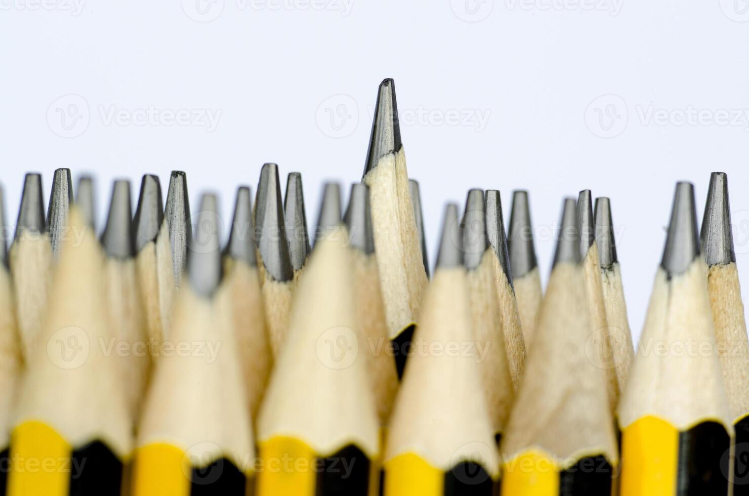 Pencil standing out representing Individuality Uniqueness, Speak Up, Courage and Leadership photo