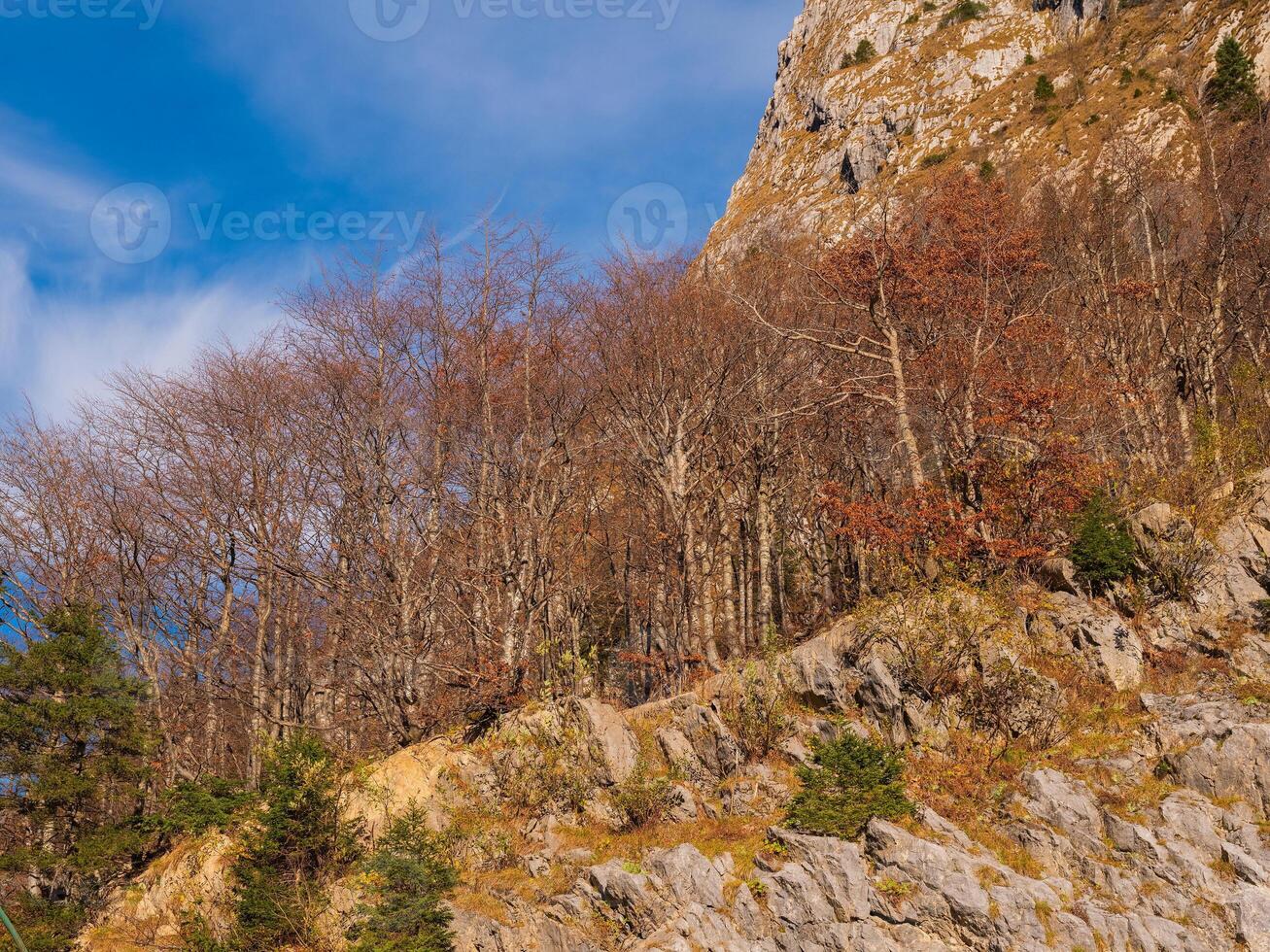 bright autumn landscape, view of Austrian Alps. road to Italy on sunny day. photo