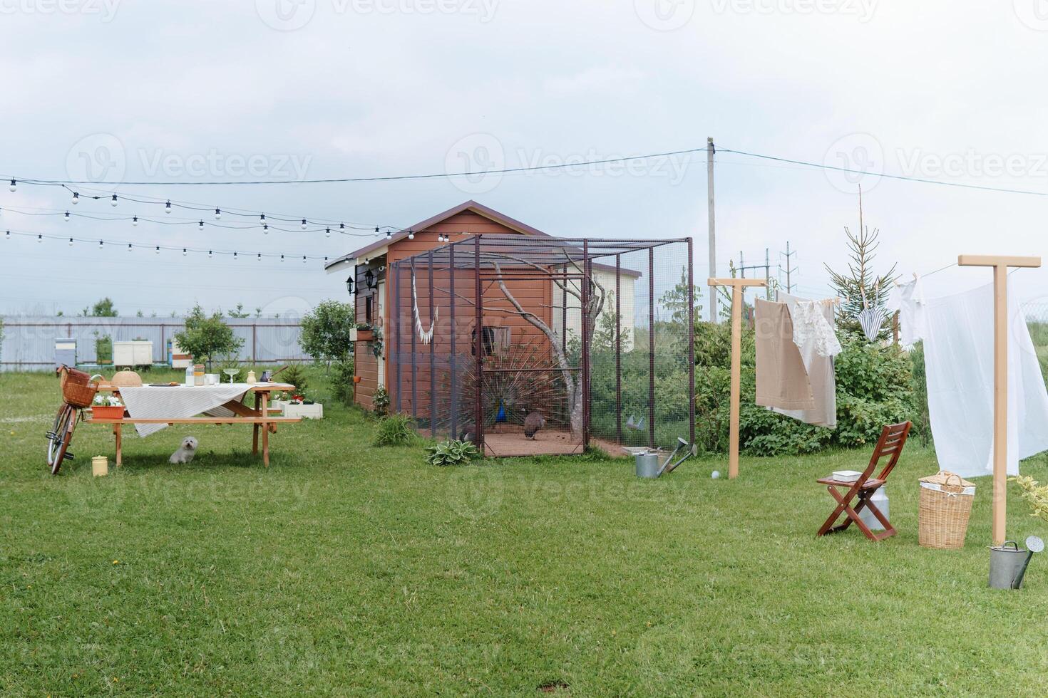 Backyard scene with clothesline, peacock aviary, picnic table, and bike, representing serene countryside life and farm activities. photo