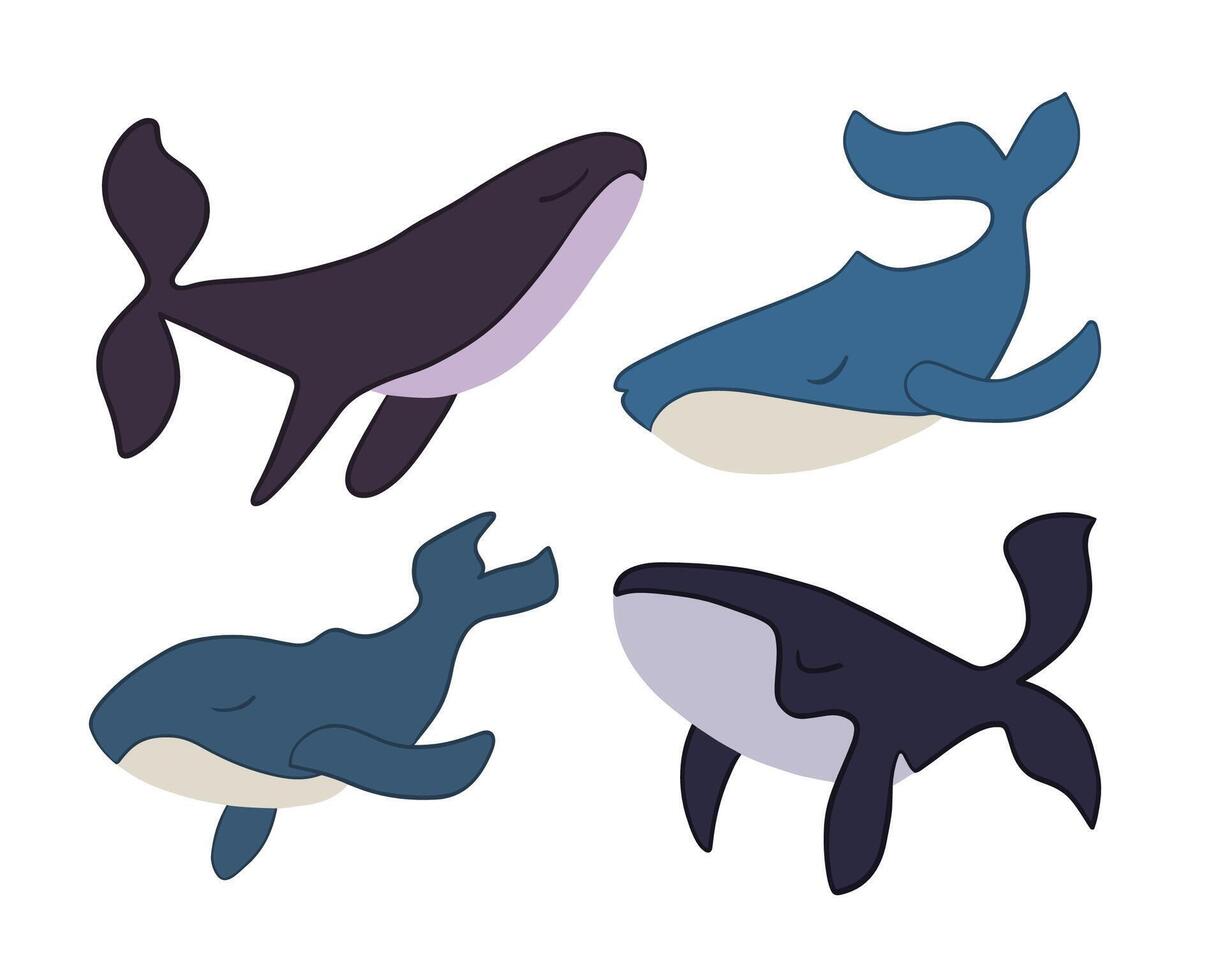 A set of whales on a white background. vector