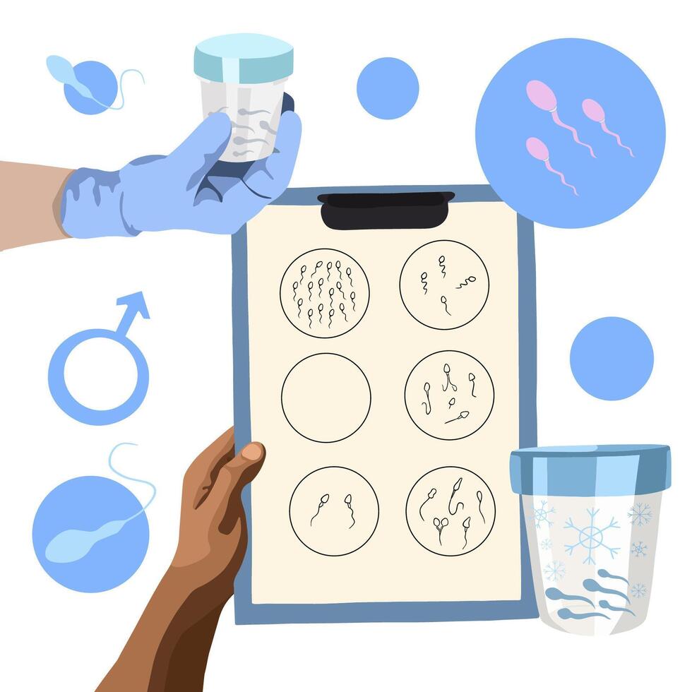 Sperm defects. Spermogram. Laboratory examination of sperm. vector
