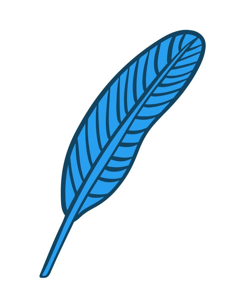 Bright blue bird feather lies on a white background, showcasing its intricate details and texture. vector