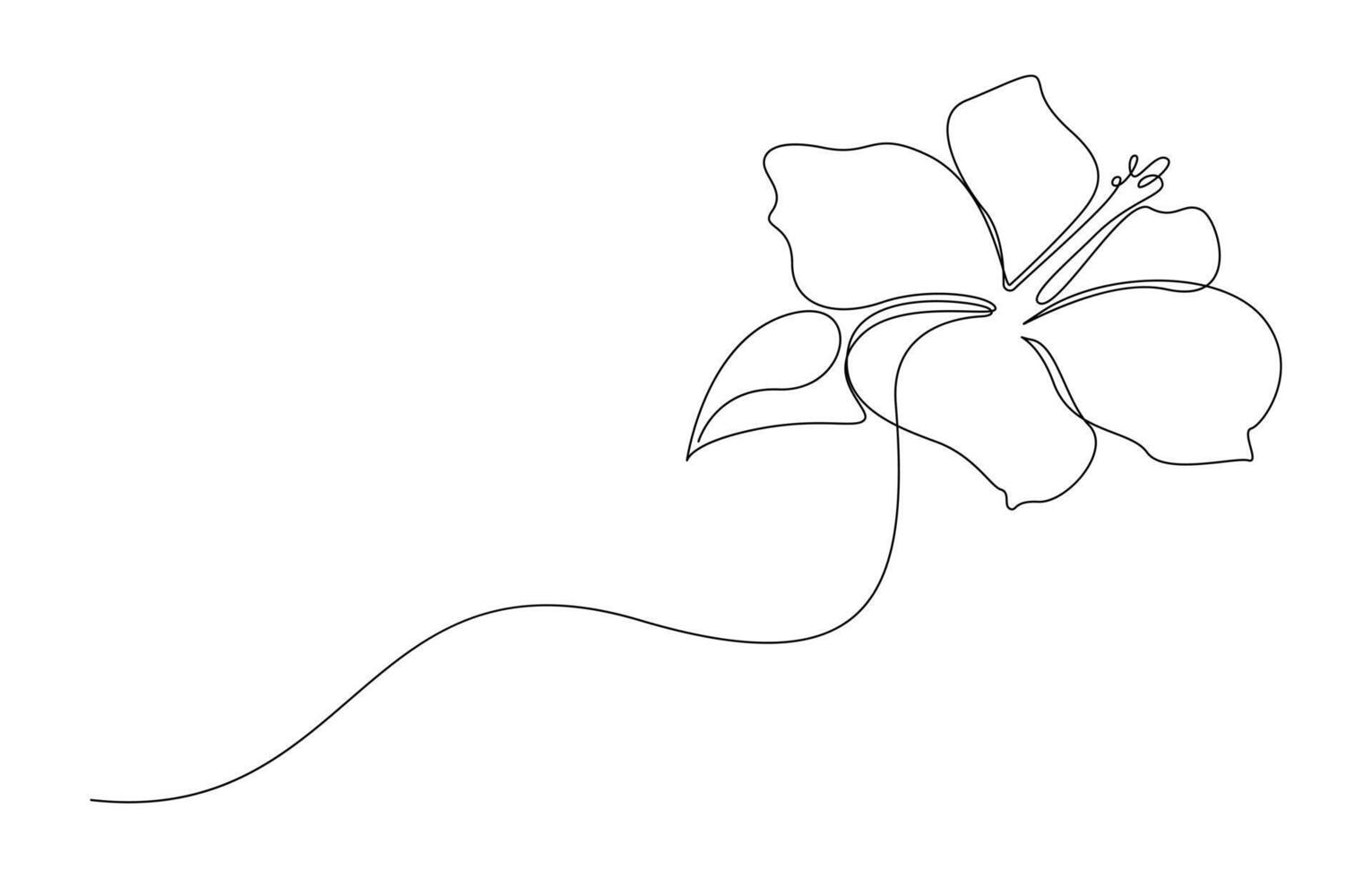 Hibiscus Flower Single Line Drawing, vector