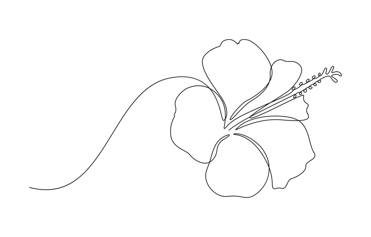 Hibiscus Flower Single Line art Drawing, vector