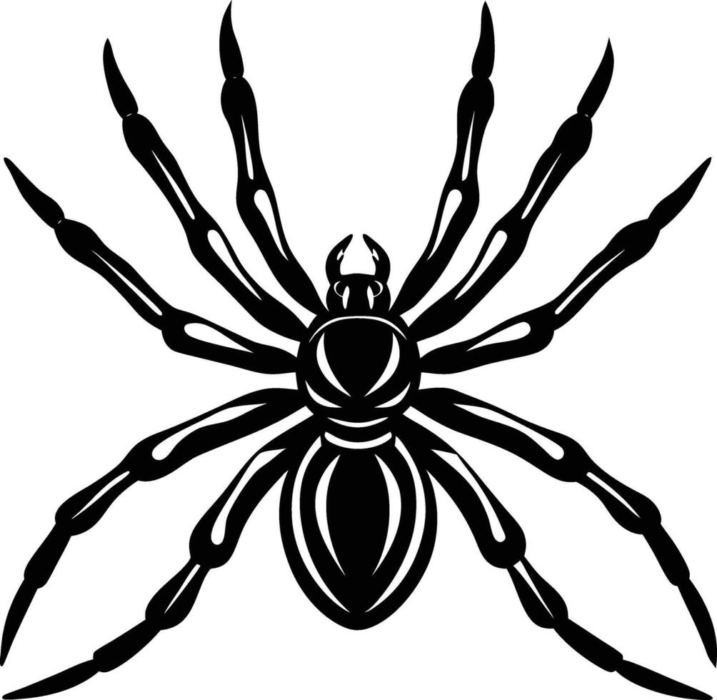 A black spider on a white background vector