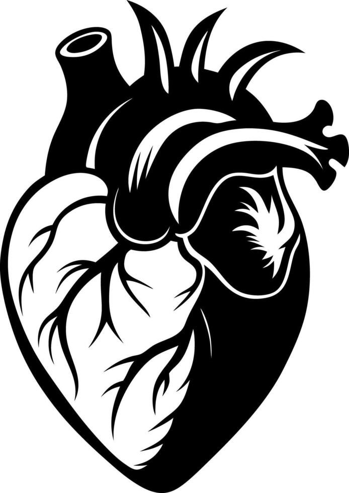 Anatomical Heart Illustration Black silhouette and White Graphic Design vector